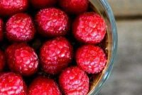 Rapid Vegan Chocolate Raspberry Pudding No Sugar Gluten Free