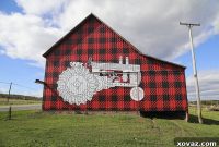 From Cow to Creamery: A Day on a Cabot Cooperative Farm