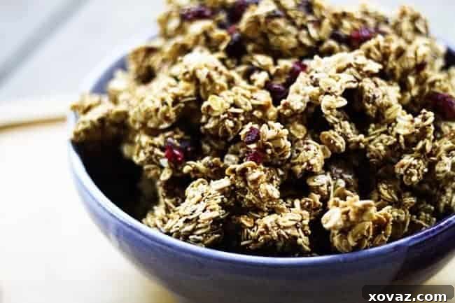 Ancient Grains Cranberry Dark Chocolate Granola: Healthy, Clumpy, and Delicious