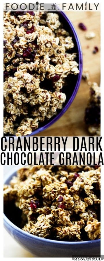 Nutritious and delicious Ancient Grains Granola with Cranberries and Dark Chocolate, perfect for a healthy snack.