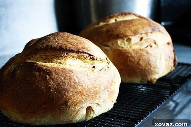 A glorious, golden-brown Roasted Garlic Rustic Sourdough Boule fresh from the oven, featuring a crisp crust.
