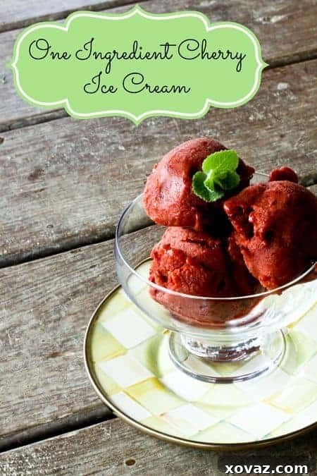 One-Ingredient Cherry Ice Cream | Delicious and Healthy Dessert