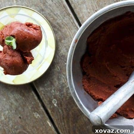 One-Ingredient Cherry Ice Cream | Pure Fruit Dessert
