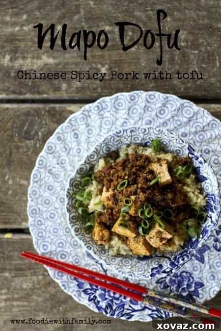 Mapo Tofu: Fiery Chinese Pork and Tofu 2 Mapo Dofu {Chinese Spicy Pork with Tofu} | www.foodiewithfamily.com