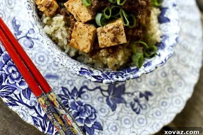 Mapo Tofu: Fiery Chinese Pork and Tofu 3 Mapo Dofu {Chinese Spicy Pork with Tofu} | www.foodiewithfamily.com