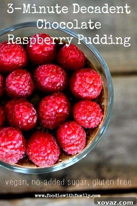 Rapid Vegan Chocolate Raspberry Pudding No Sugar Gluten Free 3 Close-up of a serving of 3-Minute Decadent Chocolate Raspberry Pudding garnished with fresh raspberries