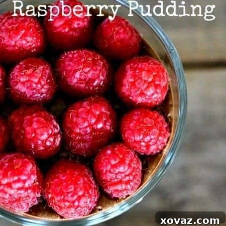 Rapid Vegan Chocolate Raspberry Pudding No Sugar Gluten Free 4 3 Minute Decadent Chocolate Raspberry Pudding: Vegan, No Added Sugar, Gluten-Free