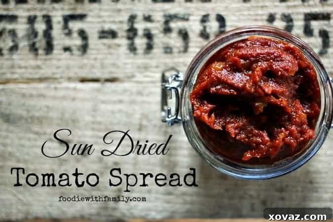 Vibrant red Sun-Dried Tomato Spread, a healthy and quick way to enhance sandwiches, crackers, and dips. Homemade sun-dried tomato jam recipe.