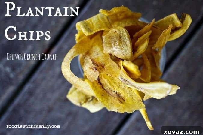 Delicious Fried Plantain Chips, a perfect homemade snack