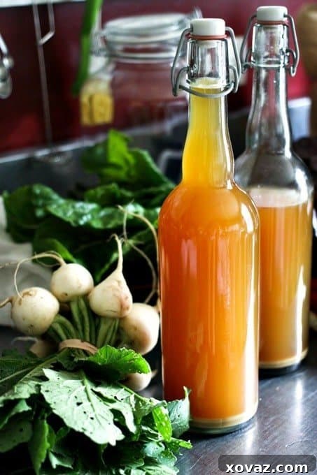 Homemade Fire Cider Elixir 2 A glass of amber-colored Fire Cider, a delicious and potent health tonic, ready to be enjoyed as a daily wellness shot or mixed into recipes.