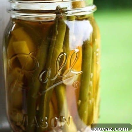 Crunchy Dilly Snaps 4 Pickled Green Beans: Dilly Beans - a simple canning project