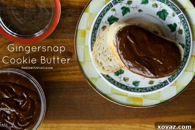 Spiced Gingersnap Spread 2 Gingersnap Cookie Butter from foodiewithfamily.com
