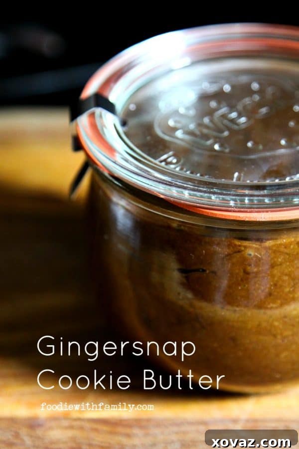 Spiced Gingersnap Spread 3 Gingersnap Cookie Butter from foodiewithfamily.com
