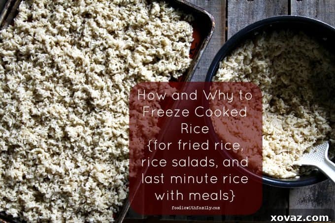Freeze Rice for Perfect Fried Rice and Fast Meals 3 Frozen cooked rice spread on a silpat-lined sheet pan, ready to be transferred to a freezer bag for convenient future use in fried rice or other quick dishes.