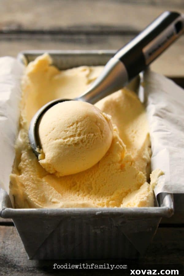 Eggnog Ice Cream {5 Minute Methods} from foodiewithfamily.com