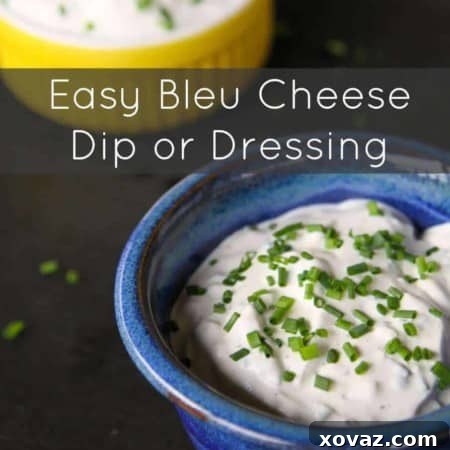 Easy Blue Cheese Dip or Dressing from foodiewithfamily.com