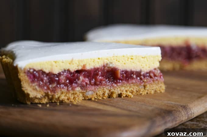 A beautifully sliced Rhubarb Custard Pie with a golden crumb crust, a vibrant rhubarb layer, creamy cheesecake custard, and a smooth yogurt topping, perfect for spring and summer gatherings.