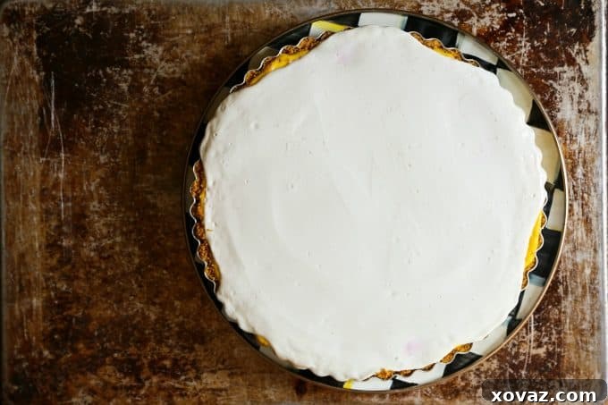 A vibrant Rhubarb Cheesecake Pie, a delicious dairy-rich dessert perfect for any occasion.