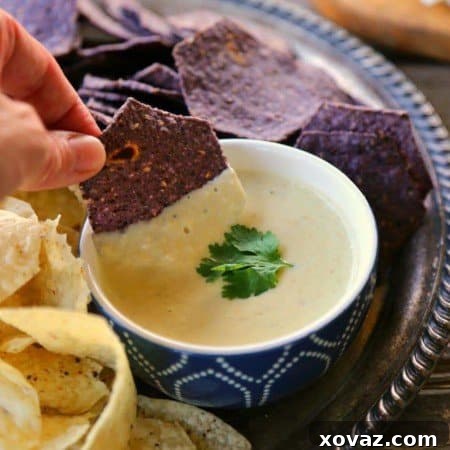 The Ultimate Queso Blanco Dip from foodiewithfamily.com