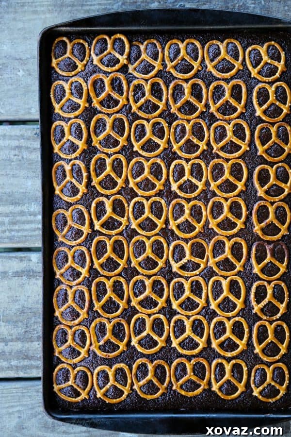Rich chocolate sheet cake adorned with crunchy pretzels, perfect for satisfying sweet and salty cravings.