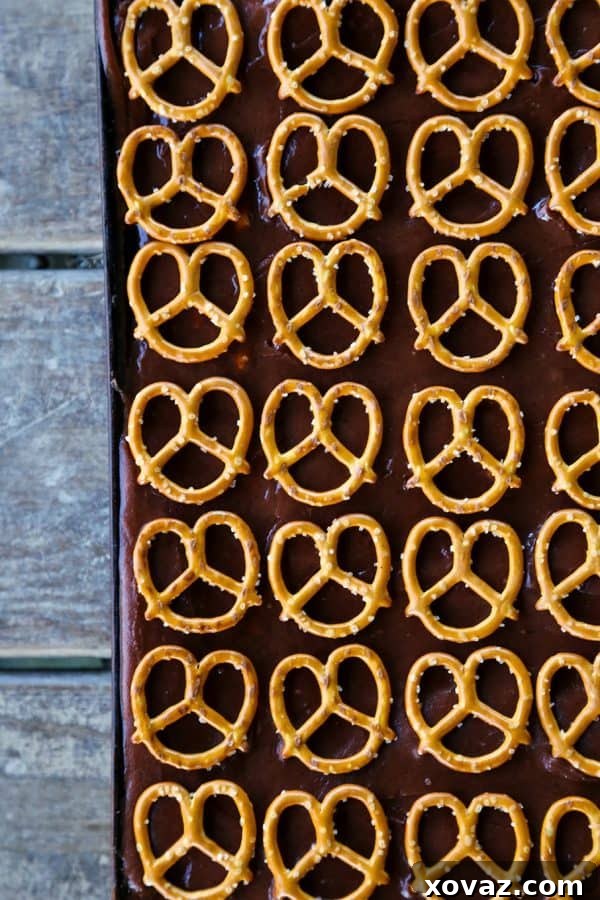 Close-up of a delectable chocolate pretzel sheet cake, showcasing the harmony of sweet chocolate and savory pretzels.
