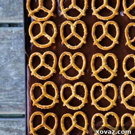 Chocolate Pretzel Sheet Cake from foodiewithfamily.com