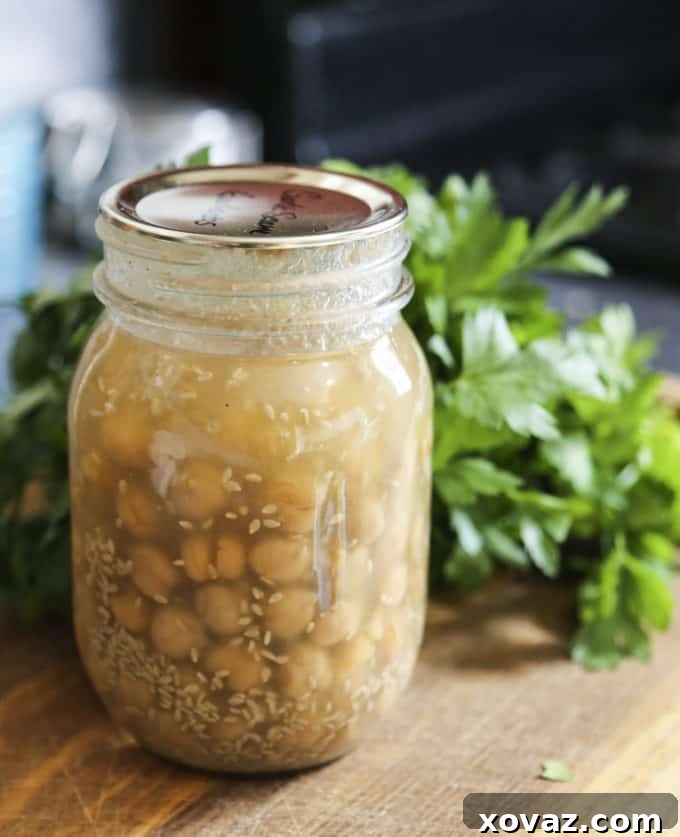 Your Instant Hummus Solution 2 Instant Hummus in a Jar from Not Your Mama's Canning Book: Modern Canned Goods and What to Make with Them from foodiewithfamily.com a.k.a. Rebecca Lindamood