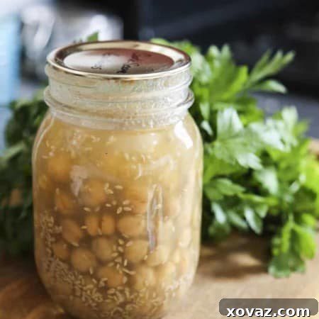 Instant Hummus in a Jar from Not Your Mama's Canning Book: Modern Canned Goods and What to Make with Them from foodiewithfamily.com a.k.a. Rebecca Lindamood