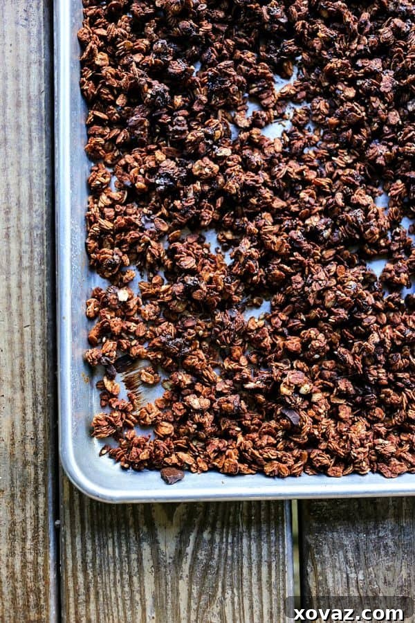 Double Chocolate Granola from Foodie with Family