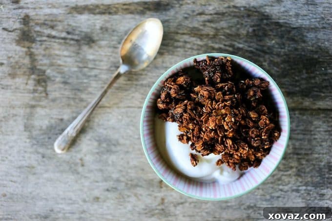 Double Chocolate Granola from Foodie with Family