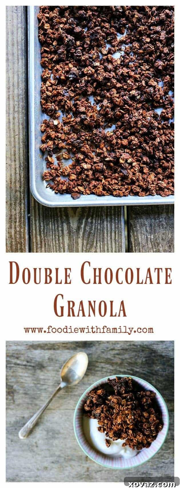 Double Chocolate Granola from Foodie with Family