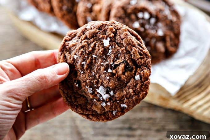 Beautifully baked Easy Double Chocolate Nutella Cookies, featuring melted chocolate chunks and a delicate sea salt garnish. A quick and satisfying dessert.