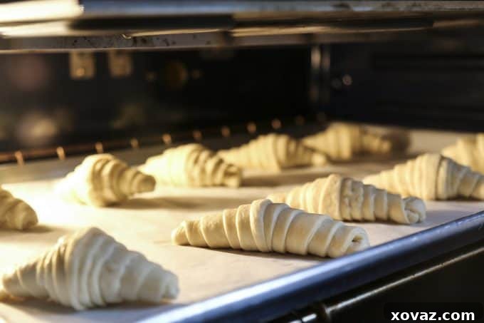 Bake Bakery-Quality Croissants at Home 4 How to Make Croissants: turn your kitchen into a bakery and make perfectly flaky, deep brown, many layered croissants perfect for breakfast, snack, or sandwiches.