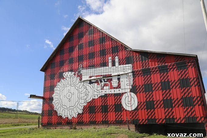 From Cow to Creamery: A Day on a Cabot Cooperative Farm 3 Dellavale Farm Cabot Creamery Cooperative