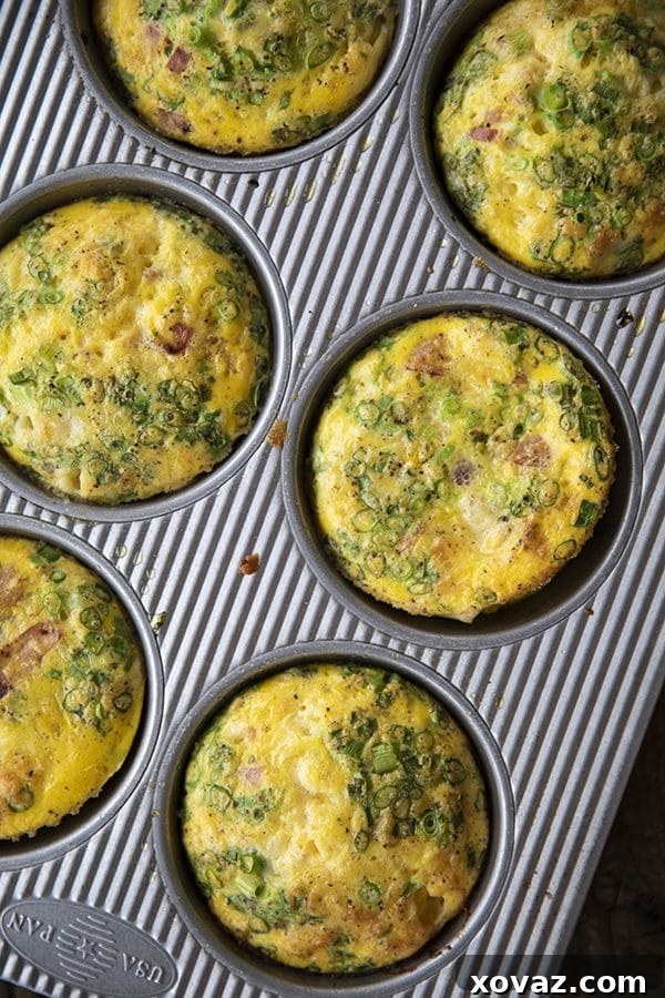 Baked Egg Bites 2 Delicious Muffin Tin Eggs with crisped Hillshire Farm ham, green onions, and melted cheddar, baked to puffy, golden perfection in a muffin tin, ready to be served.
