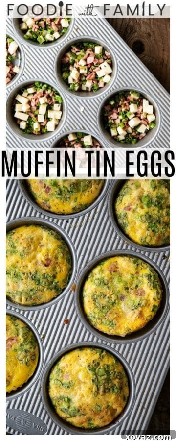 Baked Egg Bites 7 A single Muffin Tin Egg, perfectly baked with crispy ham, green onions, and melted cheddar, ready to be enjoyed as a wholesome and quick meal.