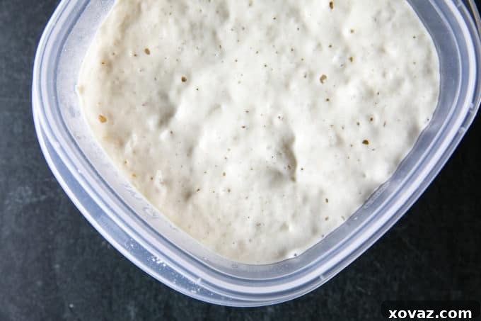 Cultivating Your Sourdough: From Scratch to Starter 2 This tutorial shows you how to make a sourdough starter using just flour and water. You'll be ready to bake sourdough bread in as few as 5 days!