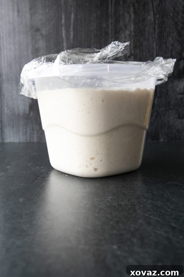 Cultivating Your Sourdough: From Scratch to Starter 8 This tutorial shows you how to make a sourdough starter using just flour and water and time.