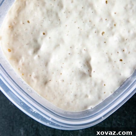 This tutorial shows you how to make a sourdough starter using just flour and water. You'll be ready to bake sourdough bread in as few as 5 days!