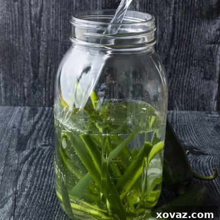 Easy to make Jalapeno Tequila is about to set your taste buds tingling all summer long! Give your life a little kick with spicy cocktails made from Jalapeno Tequila.