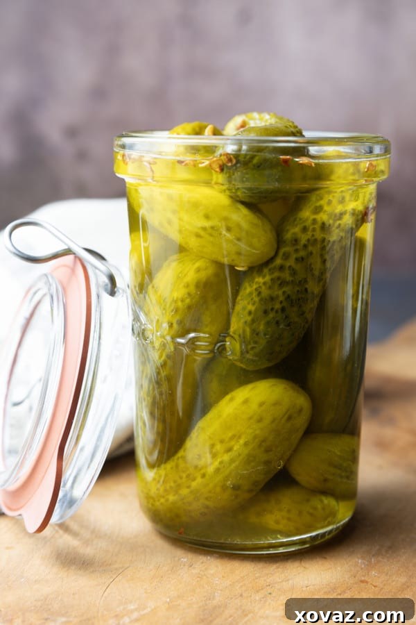 A hand holding a Moonshine Pickle, highlighting its texture and inviting appearance. The focus is on the deliciousness of the pickle itself, emphasizing that these aren't just for cocktails but also make a fantastic, spirited snack.