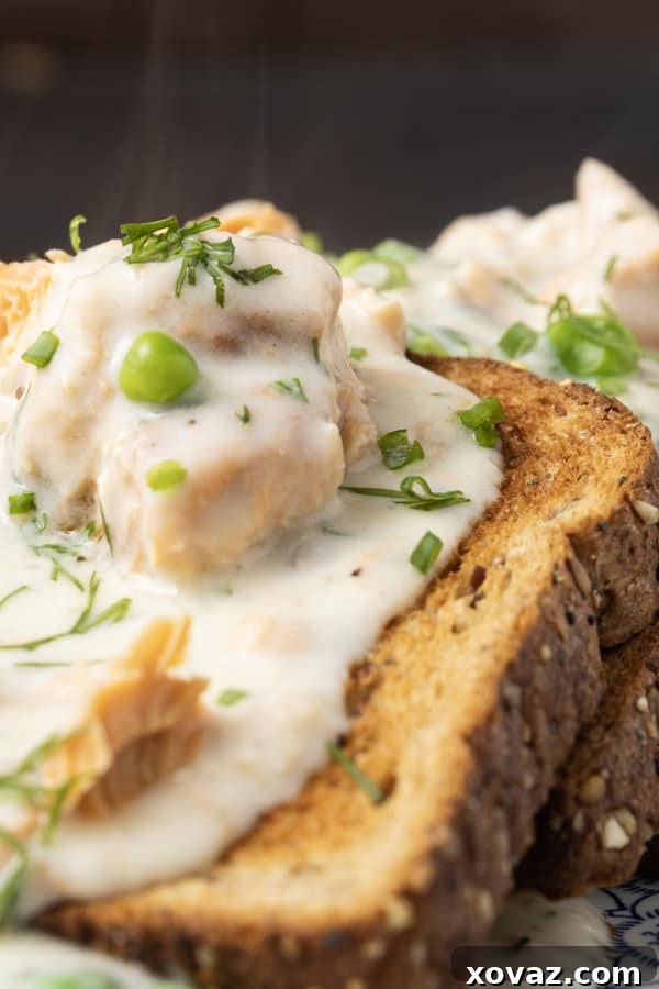 Two cans of high-quality wild-caught salmon on a wooden surface, highlighting the main ingredient.
