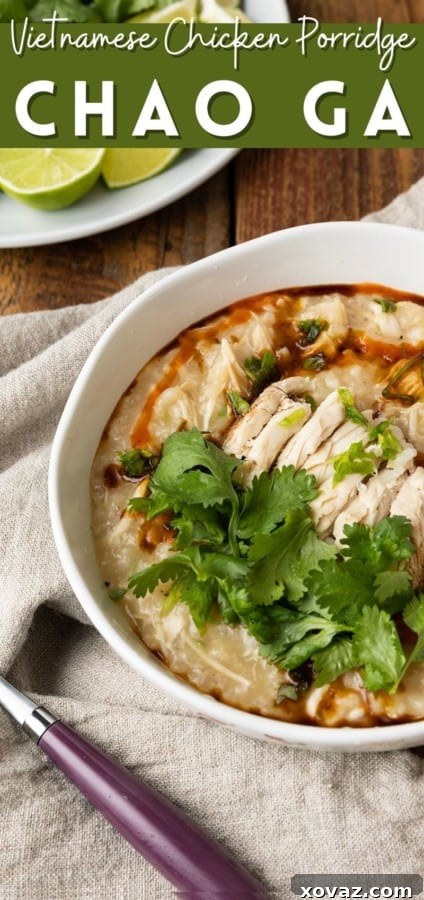 A close-up shot of a steaming bowl of Vietnamese Chicken Porridge (Chao Ga) with a spoon, highlighting its creamy texture.