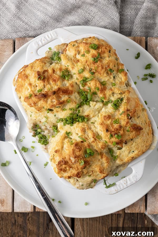 baked casserole with golden brown biscuits