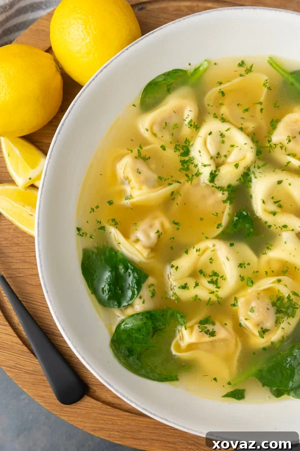 Close-up of freshly cooked tortellini floating in a clear, golden broth.