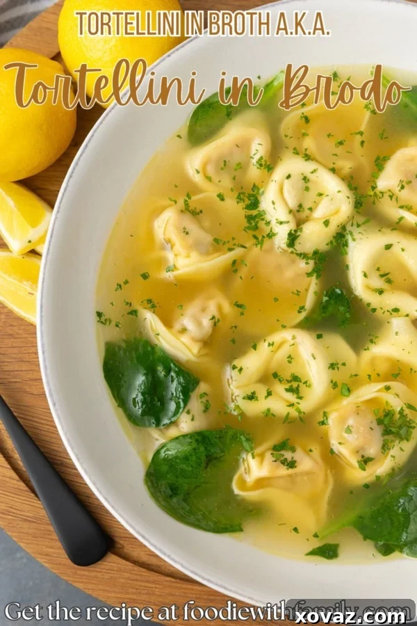 A beautifully composed flat lay of Tortellini in Brodo ingredients, ready for cooking.