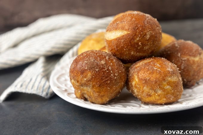 Tangy Sourdough Pretzel Bites 5 A plate of cinnamon sugar pretzel bites on a table with a napkin.