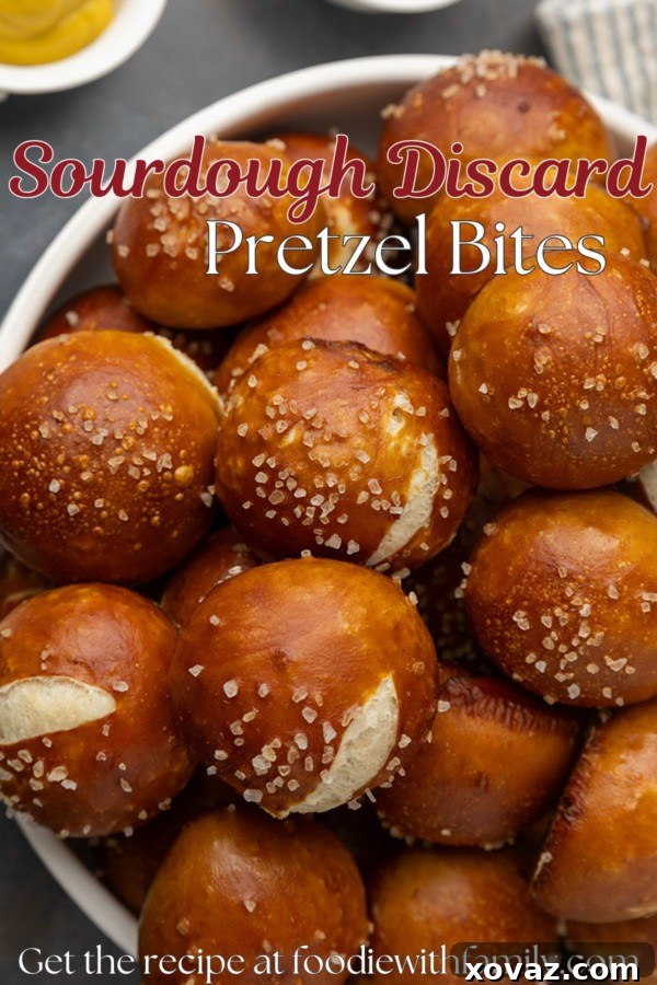 Tangy Sourdough Pretzel Bites 8 Sourdough pretzel bites recipe.