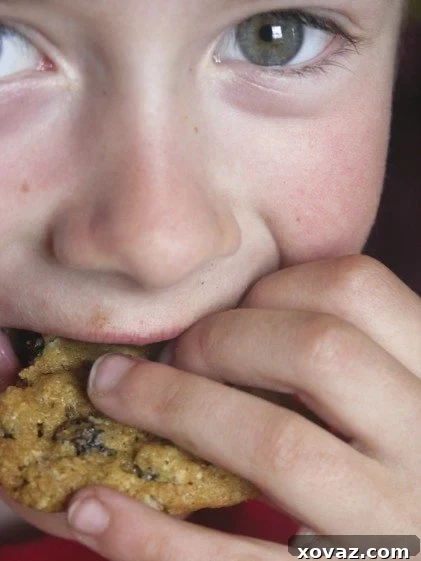 Irresistible Amish Cookies Classic Amish Cookies with a Caramel Hue, crisp on the outside and chewy on the inside