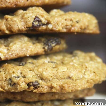 Amish Cookies, crisp on the outside, chewy on the inside